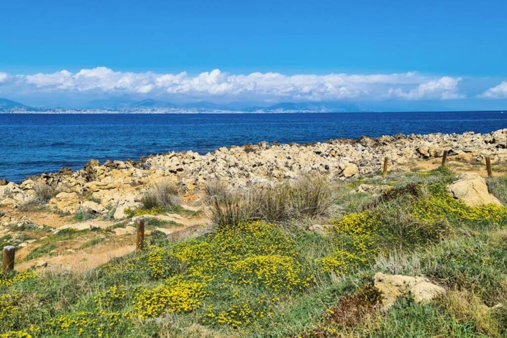 Casalionelantibes 70 Sqm Apartment With Garden And Parking 외부 사진